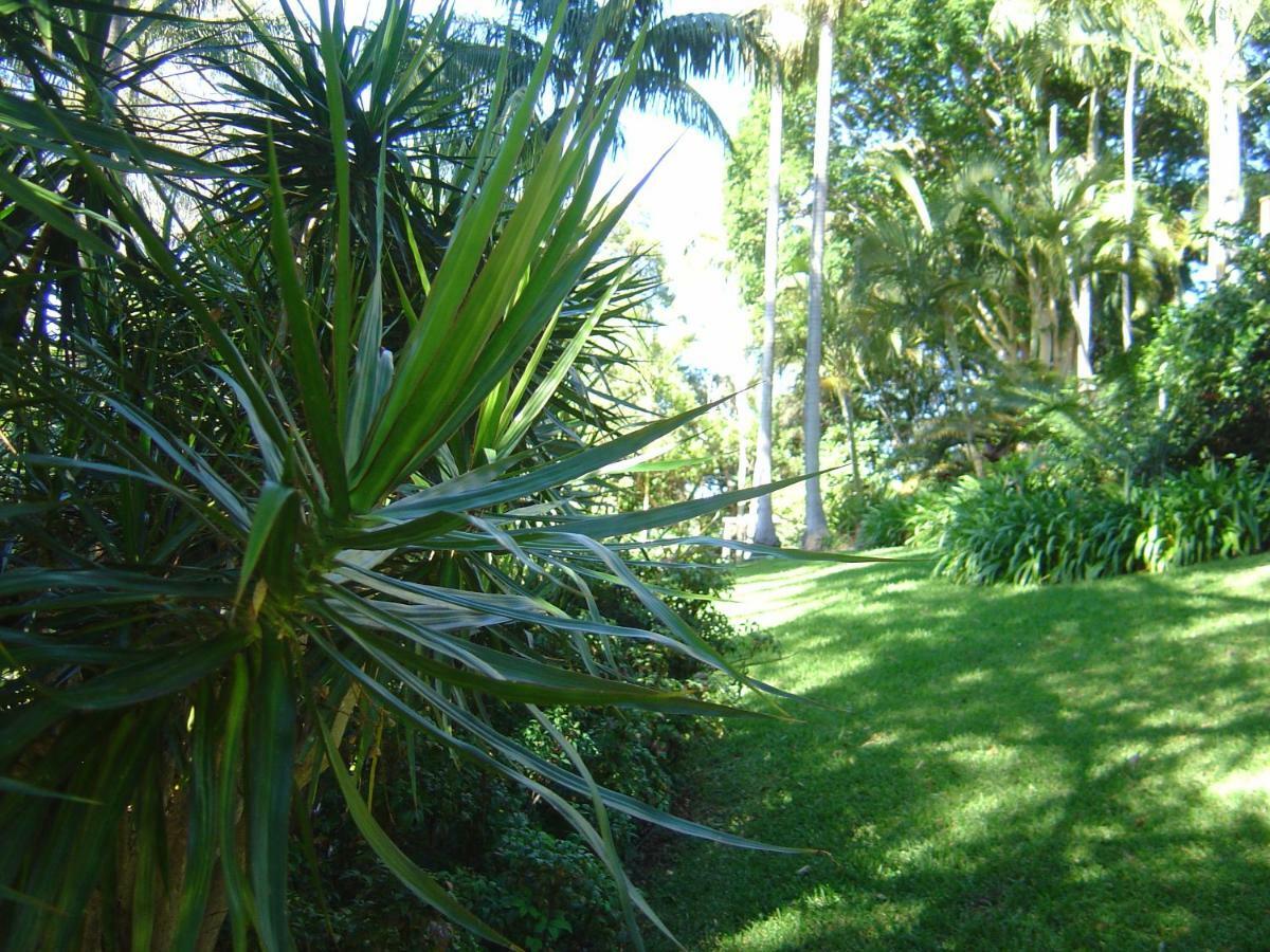 Sensom Boutique Bed And Breakfast Sapphire Beach Bagian luar foto